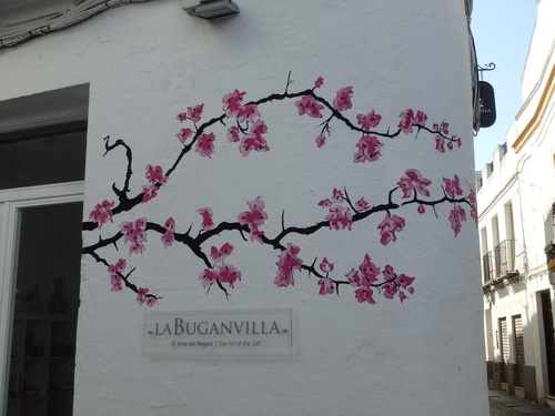 Buganvilla (Eng: Bougainville).